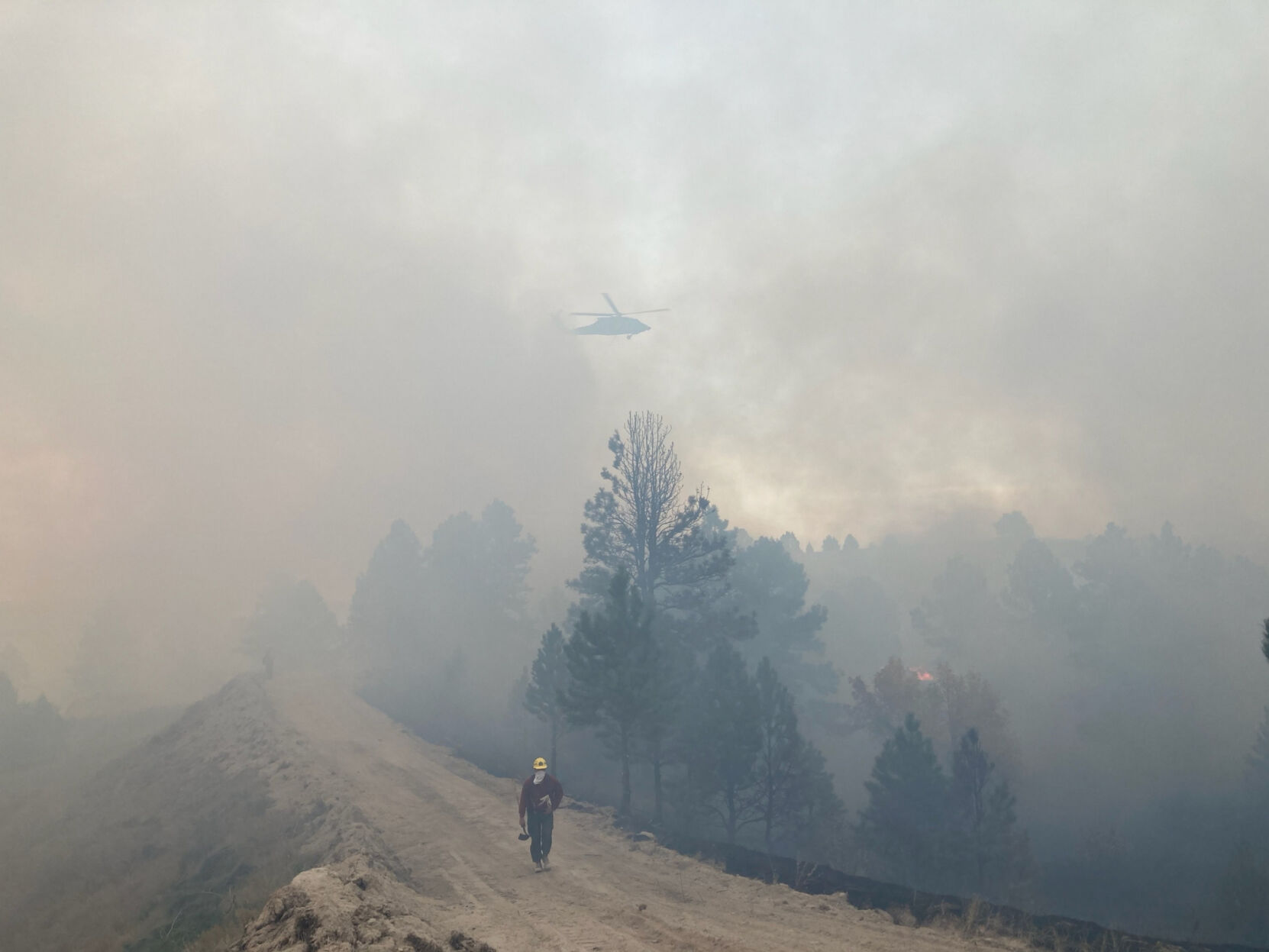 Protectors of the forests N.Y. crews go West each year to help fight wildfires